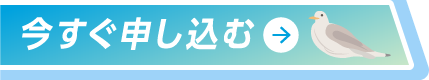 今すぐ申し込む