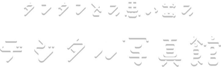 タンタンとの思い出のデジタル写真館